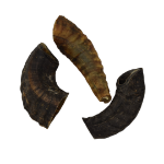 Picture of Lamb Horn Cut (1kg)