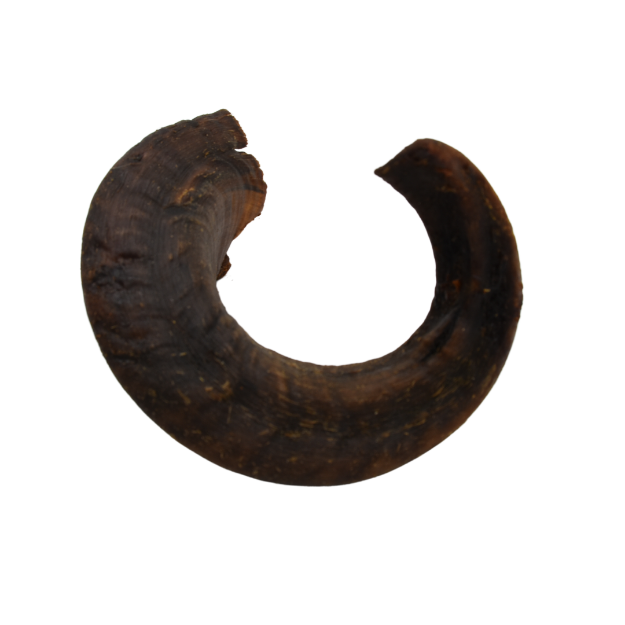 Picture of Lamb Horn (Small)