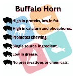 Picture of Buffalo Horn (Small)